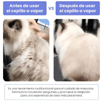 Cepillo VaporPet